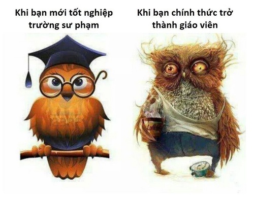 khi_ban_moi_tot_nghiep_500