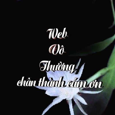 vo_thuong_2