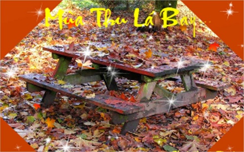 1-ma_thu_l_bay_7_500