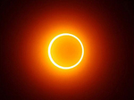 8868399
