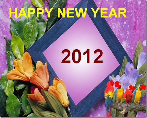 happy_new_year_2012_wallpapers5_500