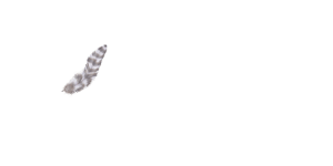 ((**