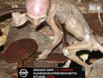 2597321