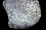 522607