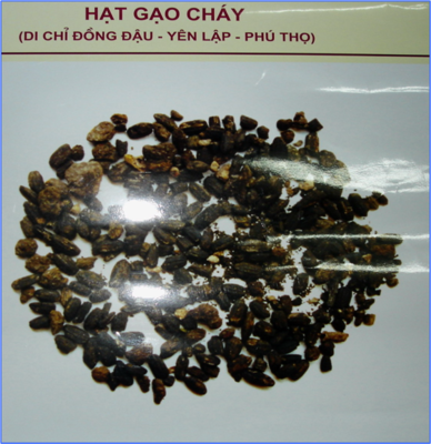 hat_gao_chay_400.png