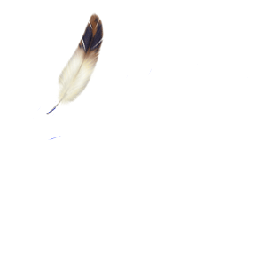 thanhduong