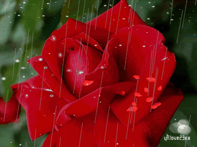 395001237.jpg 395001237.jpg