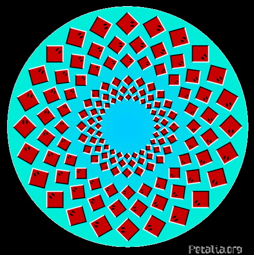 clip_37_500 clip_37_500