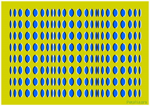 clip_39_500 clip_39_500