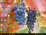 11728226