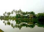 7290743