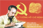 8017435