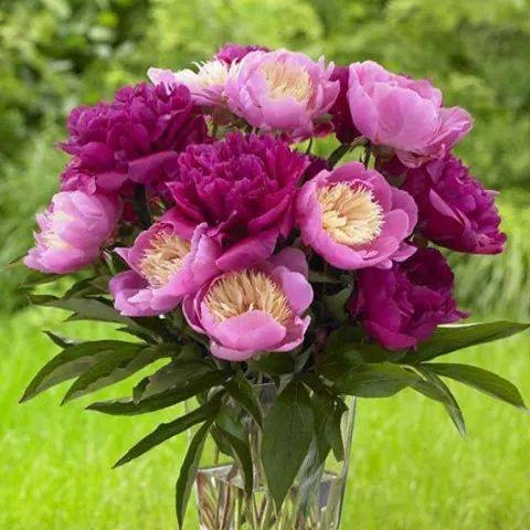 10897111_1621582851449640_6335627822559683152_n