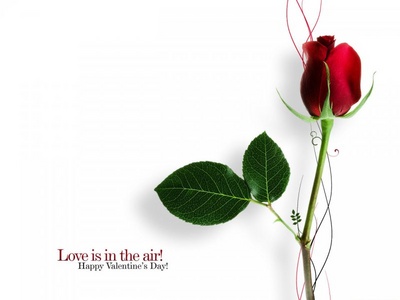 happy_valentines_day_34068_400