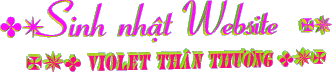 sn_web_2