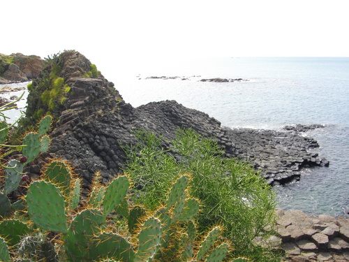 imgp1675_500