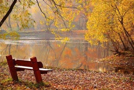 http://d4.violet.vn/uploads/blogs/732610/14f867fa9aeca9.img.jpg http://d4.violet.vn/uploads/blogs/732610/14f867fa9aeca9.img.jpg