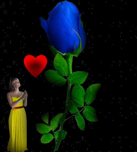 71d595fe147e3a4824260ed_500