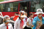 7516334