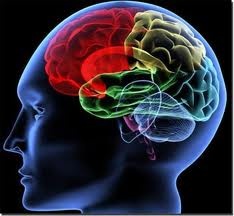 images_01 images_01