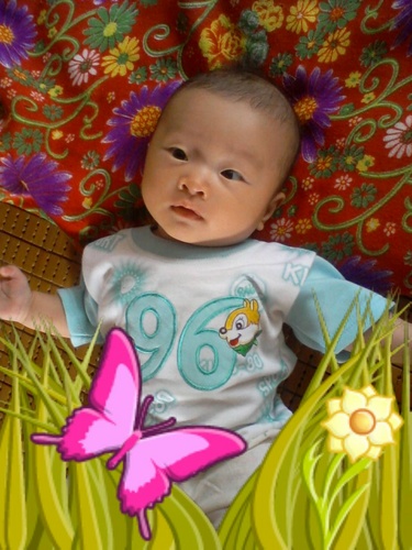 photo-0h_500_01