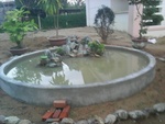 11634528