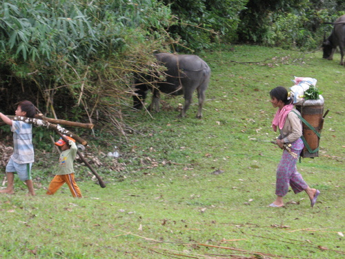 img_4255_500 img_4255_500