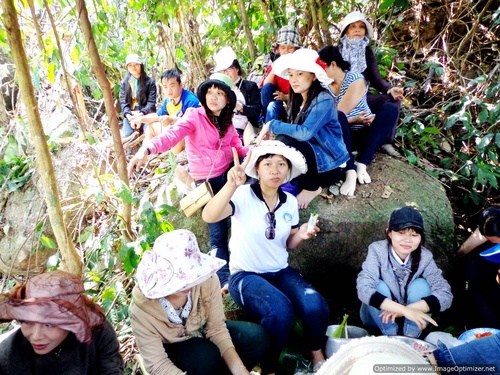 vnt2014_135_500