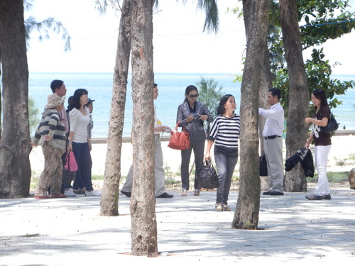 dscn1764_500 dscn1764_500