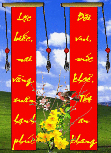 caudoitet4-thuha_500