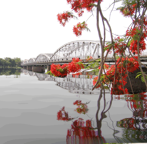 cau_truong_tien_500 cau_truong_tien_500