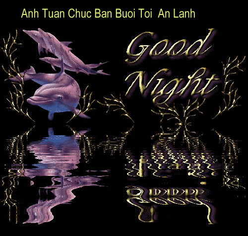good_night-moi_500_02