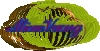 11176448