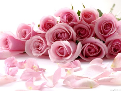 red_rose21_400