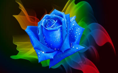 hh_blu12