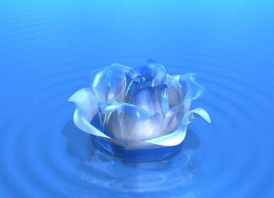 hh_blu20