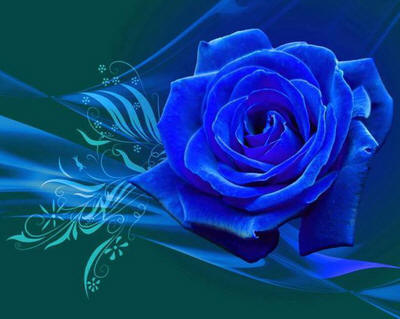 hh_blu21