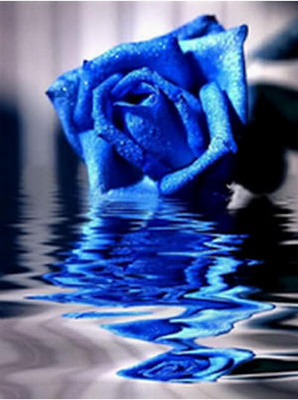 hh_blu2_400