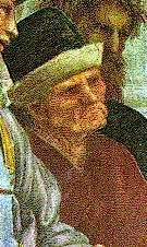 20037409_images74265_6_xenophon