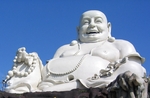 10085640