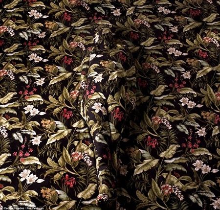 article-2092600-117b4d6b000005dc-852964x918 article-2092600-117b4d6b000005dc-852964x918